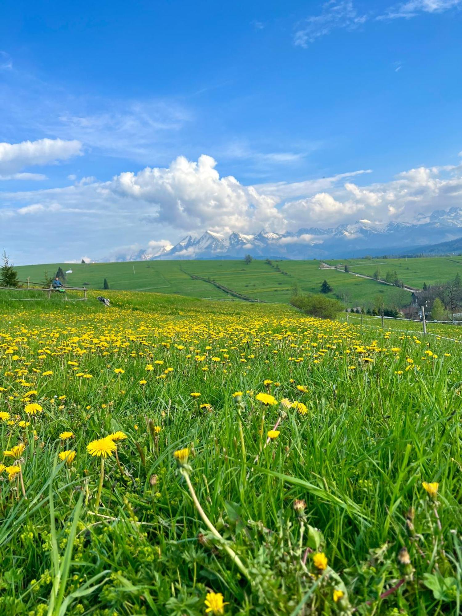 Agrodomek Rzepiska Exteriér fotografie